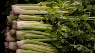 Celery as Antiinflammatory Antibacterial Antiviral and Antioxidant [upl. by Birch]