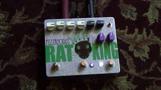 Fuzzrocious Rat King Demo [upl. by Garaway52]