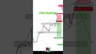 NEW TRADER VS PRO TRADER stockmarket howtotradechartpatterns trading whatnottodointrading [upl. by Enitsed]