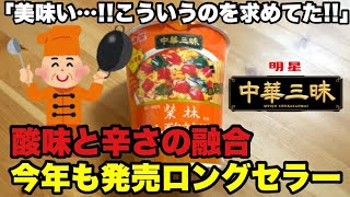 Myojo Chukazanmai Vertical Big Eirin Tomato Hot and Sour Noodles [upl. by Cirdla]