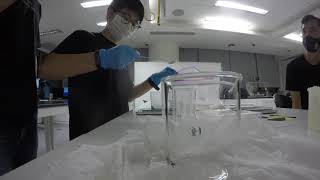 30316 Making Chitosan Solution Time Lapse [upl. by Cleodal]