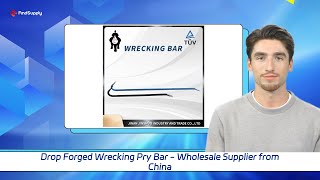 Drop Forged Wrecking Pry Bar  Wholesale Supplier from China [upl. by Ebony]