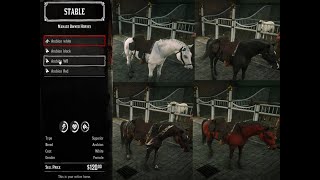 Red Dead Redemption 2 Arabian horse showsWhite Black Warped amp Red [upl. by Chae]