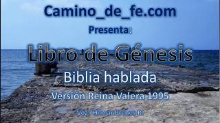 Biblia hablada Reina Valera 1995 Génesis Capítulo 1 [upl. by Zetes839]