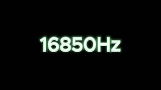 16850Hz  1685KHz Tone Test Speaker amp Headphone Frequency Response Test [upl. by Karr746]