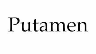 How to Pronounce Putamen [upl. by Irem]