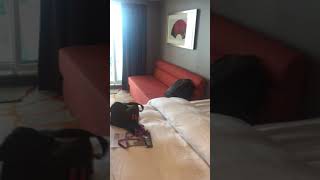 Genting Dream Cruise Balcony Stateroom 12788 [upl. by Dodie]