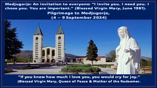 Pilgrimage to Medjugorje  A Talk by Ivan Dragicevic Medjugorje Visionary [upl. by Tenaj959]