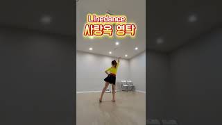 사랑옥 영탁 Line Dance  Beginner  신나는트롯댄스 [upl. by Ogu]