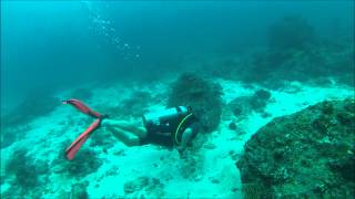 Diving Seychelles GoPro [upl. by Banky]