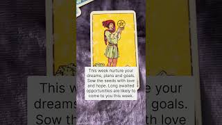 Message from Tarot for the Week of 1824 November 2024 [upl. by Drisko897]