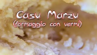 Casu Marzu  Formaggio marcio con i vermi [upl. by Kathie]