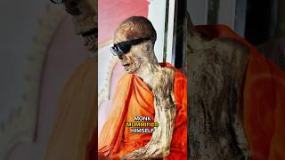 How Buddhist Monks Mummified Themselves Alive [upl. by Ycnuahc]