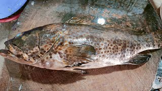 hamour  kadal karup fish cutting skills like share subscribe fullvideowatch [upl. by Yboj187]