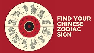 The 12 Chinese Zodiac Signs  Which Chinese Animal Sign Are You amp What It Reveals About You [upl. by Iek]