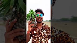 Pineapple banana iPhone 😂😂 comedy funny fun iphone vikramcomedyvideo realfools shorts [upl. by Adelpho889]