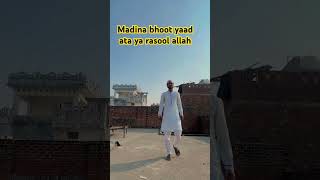 Madina yaad ata hai bula li ya rasool rasoolallahsaw subscribemychannel viralshorts [upl. by Eimor450]