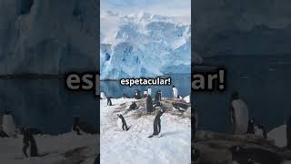 🧊 quotAntártica Segredos do Continente de Geloquot [upl. by Chevalier]