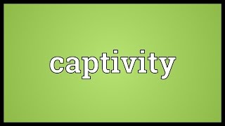 Captivity Meaning [upl. by Azal]