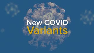 New COVID Variants and a Rise in Cases  What We Know About EG5 Eris and BA286 2023 [upl. by Nodnalb]