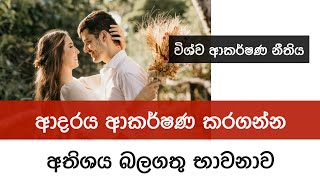 Attract your soulmate or twinflame  Law of attraction guided meditation Sinhala [upl. by Niveb]