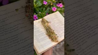 Grow plants in a Book 📖 without soil [upl. by Faith]