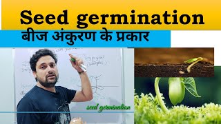 seed germination types in hindi  बीज अंकुरण के प्रकार  epigeal or hypogeal germination types [upl. by Erret]