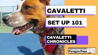 Cavaletti Set Up [upl. by Wasson]