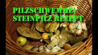 Pilzschwemme  Schwammpilze und das beste Steinpilz Rezept [upl. by Schulz697]