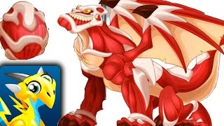 How to get Titan Dragon 100 Real Dragon City Mobile [upl. by Thaxter]