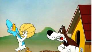 WB Foghorn Leghorn quotLovelorn Leghornquot Casaba Dance [upl. by Laeynad]