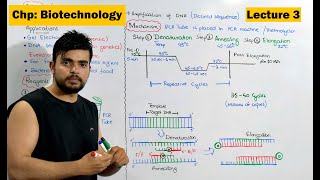 PCR  Polymerase Chain Reaction  Video 3 [upl. by Ardnuahc325]