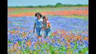 SPRING WILDFLOWERS IN TEXAS HD [upl. by Zea]