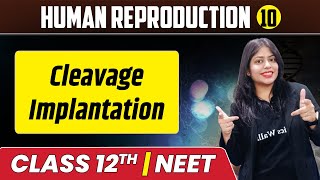 Human Reproduction 10  Cleavage  Implantation  Class 12thNEET [upl. by Chariot158]