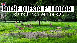 🇬🇧POSTI INSOLITI a LONDRA VEDERE i CERVI CENA a CASA COLAZIONE a BUSHY PARK  WEEKEND VLOG🇬🇧 [upl. by Londoner]