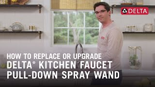 How to Replace or Upgrade a Delta® Kitchen Faucet PullDown Spray Wand [upl. by Jedlicka]