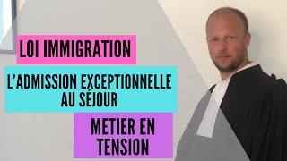 Loi immigration  le titre quotmétier en tensionquot [upl. by Shirleen834]