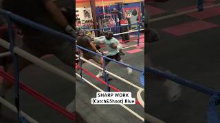 Sharp Rounds blue catchyamp shoot blessings boxingtraining [upl. by Brenden]