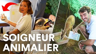 DEVENIR SOIGNEUR ANIMALIER  réalité du métier refuges formations salaires [upl. by Ocnarfnaig]