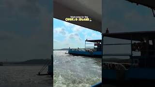 Exploring Chorao Island in Goa🏖️ goa chorão shorts youtubeshorts [upl. by Eenhat]