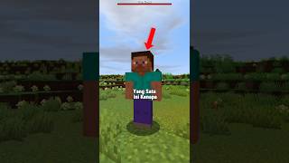 Boss Minecraft Yang Belum Pernah Kalian Lihat [upl. by Senzer]