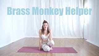 Brass Monkey Helper  Intro to Video Series [upl. by Enirual]