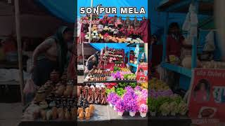 Sonpur Mela Coming Soon 2024 Sonpur mela starting 13 Nov travel sonpurmela2024 sonpur reels [upl. by Hassi]