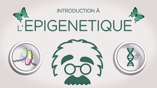 Introduction à lépigénétique  with ENGLISH subtitles [upl. by Ennaesor]