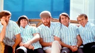 The Beach Boys  Apple Bottom Jeans 1966 [upl. by Nicram893]