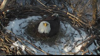 DNR Nongame Wildlife EagleCam [upl. by Kirkpatrick]