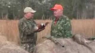 SE Georgia Continental Pheasant Shoot at Dorchester Shooting Preserve [upl. by Cecelia]