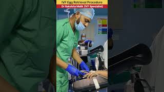 IVF Egg Retrieval Procedure by Dr Rakshita Malik ivfspecialist ivfdoctor ivfcenter ivfsuccess [upl. by Henson949]