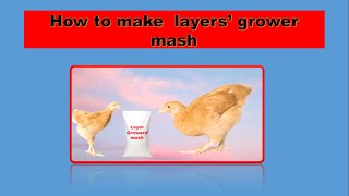 How to make a high layer growers mash in 3 minutes [upl. by Ariahay]