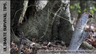 How to Make a Basic SNARE Trap with Paracord or Wire  Catch Your Own Survival Food [upl. by Coulson]